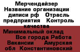 Мерчендайзер › Название организации ­ диписи.рф › Отрасль предприятия ­ Контроль качества › Минимальный оклад ­ 20 000 - Все города Работа » Вакансии   . Амурская обл.,Константиновский р-н